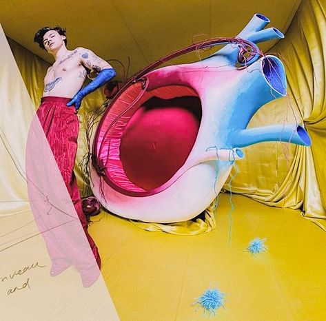 Harry Styles Fine Line Photoshoot, Harry Styles Photoshoot, Fine Line Harry Styles, Harry Styles Update, Harry Styles Fine Line, Harry Styles Poster, Diane Arbus, Cindy Sherman, Tim Walker