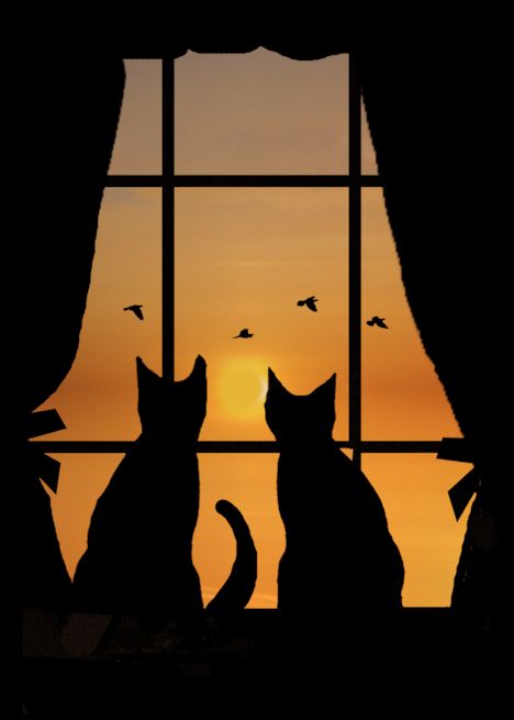 Easy Shadow Painting Ideas, Cute Simple Cat Paintings, Easy Acrylic Cat Painting Ideas, Cats In Love Painting, Cat Couple Painting, Cat Painting Simple, Cat Acrylic Painting Easy, Bathroom Art Ideas Paintings, Easy Silhouette Paintings