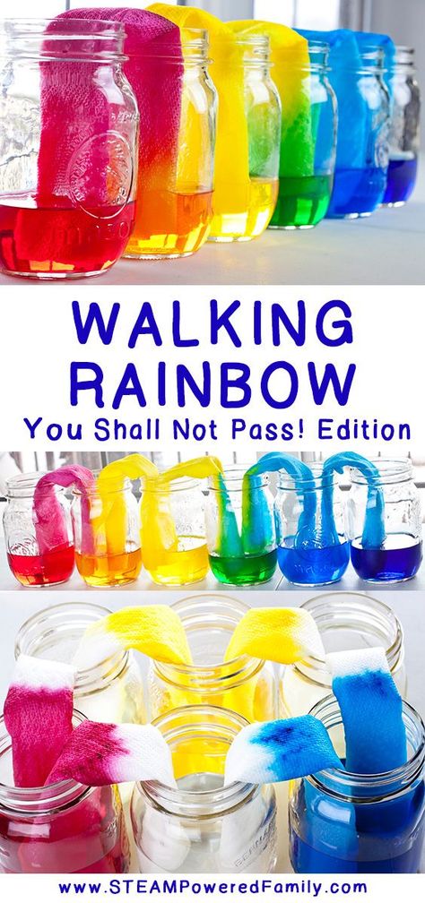 The Walking Rainbow science experiment should have been easy, but due to a mistake we discovered a fascinating capillary action and natural balance project. via @steampoweredfam Rainbow Science Experiment, Rainbow Science, Walking Rainbow, Rainbow Experiment, Capillary Action, Science Experience, Science Week, Summer Science, Science Party