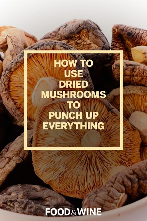 Dried mushrooms are the pure umami pantry staple every kitchen needs. Learn about all the ways they can enhance your favorite dishes. Dehydrated Mushrooms Using, How To Use Dried Mushrooms, Dried Mushrooms Using, Dried Mushroom Recipes, Drying Mushrooms, Dry Mushroom Recipes, Dehydrated Mushrooms, Ideas For Cooking, Matcha Benefits