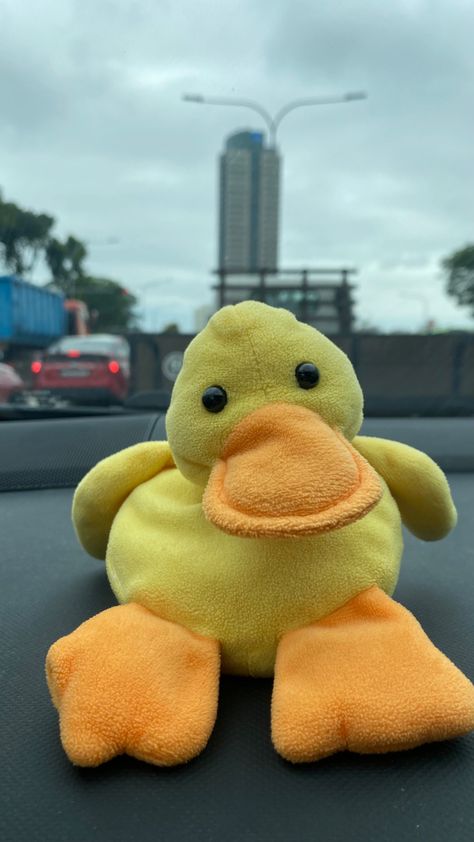 Duck Plushie, Ducky Duck, Duck Toy, Silly Photos, Cute Plush, In The Car, Rubber Duck, Wallpaper Iphone Cute, Funny Babies