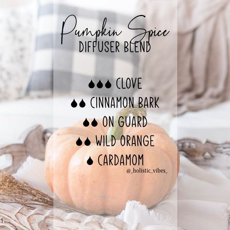 Pumpkin Spice Recipe, Pumpkin Spice Everything, Room Scents, Diffuser Blend, Cinnamon Bark, Wild Orange, Car Freshener, Diffuser Blends, Room Spray