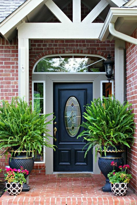 Huge ferns in pots flaking the front door Veranda Design, Front Door Planters, Door Planter, Porch Flowers, Building A Porch, Porch Planters, Front Porch Design, Diy Outdoor Decor, Front Door Colors