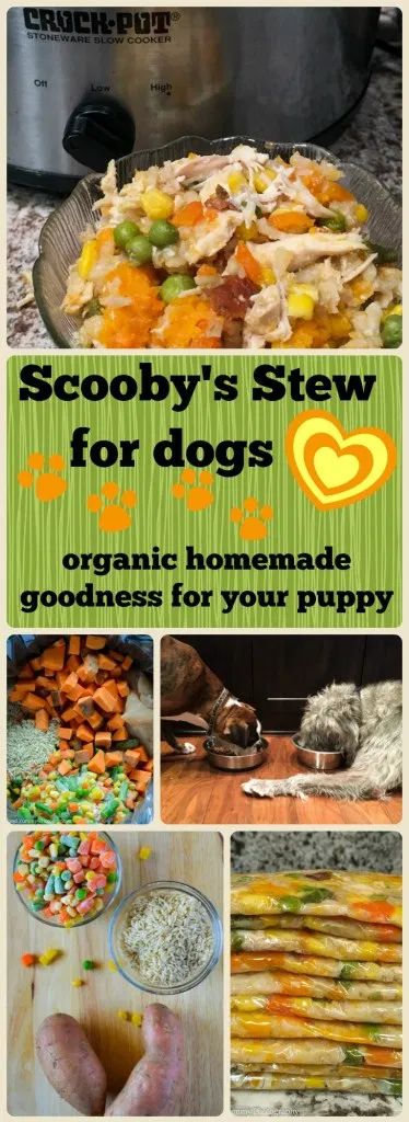 Stew For Dogs, Organic Dog Food, Diy Dog Food, Make Dog Food, Easy Dog Treats, Healthy Dog Treats Homemade, Dog Treats Homemade Recipes, Food Dog, Diy Dog Treats