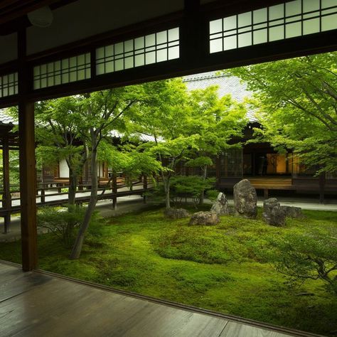 Tanaman Sukulen, Kyoto Garden, Lotus Garden, Japanese Style House, Zen Garden Design, Japan Garden, Asian Garden, Japan Kyoto, Japanese Garden Design