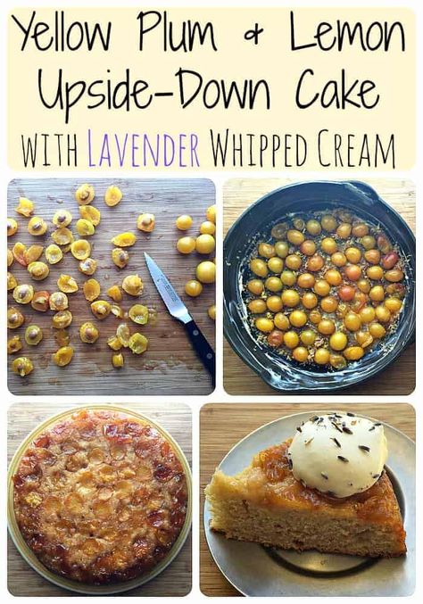 Plum Recipes Healthy, Lemon Upside Down Cake, Cake With Lavender, Plum Upside Down Cake, Plum Dessert, Plum Recipes, Yellow Plums, Herbal Plants, Harvest Recipes