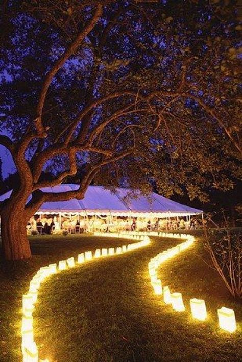 Outdoor Night Wedding, Cheap Backyard Wedding, Outdoor Wedding Reception Decorations, Rapunzel Wedding, Tangled Wedding, Food Truck Wedding, Backyard Wedding Decorations, Diy Outdoor Weddings, Backyard Wedding Ceremony