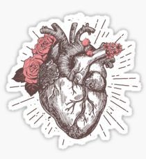 Doctor Stickers, Anatomical Heart Tattoo, Medical Stickers, Tumblr Stickers, Heart Drawing, Never Be The Same, Anatomical Heart, Human Heart, Floral Stickers