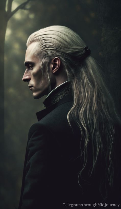 Lucious Malfoy Fanart, Lucius Malfoy Wallpaper, Lucius Malfoy Fanart, Lucius Malfoy Art, Lucious Malfoy, Malfoy Fanart, Hogwarts Slytherin, Malfoy Family, Gothic Images