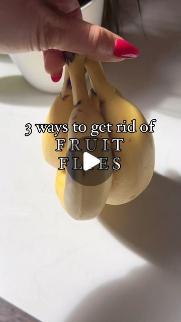 Nicole Jaques |  Kitchen Hacks + Cleaning Tips + Recipes on Instagram: "Comment “FLY TRAP” and I’ll send you the link to the best fly traps around. Here’s why these non-toxic fruit fly methods work:

1️⃣ Washing Bananas: Fruit flies often hitch a ride on your fresh produce in the form of eggs. Washing bananas and other fruits as soon as you bring them home helps remove these eggs before they can hatch and cause an infestation.

2️⃣ Non-Toxic Bug Lights: These lights attract fruit flies without using harsh chemicals, drawing them toward the light and away from your food. Once they reach the light, they’re trapped or eliminated without releasing toxins into your home.

3️⃣ Hot Water and Vinegar in the Drain: Fruit flies love to lay eggs in warm, moist areas, and your kitchen drain is a perfe Best Fly Trap, Minimalist Ideas, Fly Love, Fruit Fly Trap, Fruit Fly, Banana Fruit, Fly Trap, Fly Traps, Fruit Flies