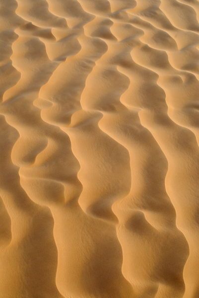 'Close-up of sand dune pattern' by Sami Sarkis Photography Sand Pattern, Pattern Photography, Sand Textures, Visual Texture, Yacht Design, Photography Prints Art, In The Desert, Natural Forms, Sand Dunes