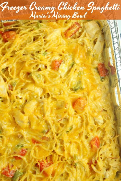 Freezer Creamy Chicken Spaghetti is a delicious weeknight meal Creamy Chicken Spaghetti Recipe, Creamy Chicken Spaghetti, Light Dinners, Rotel Recipes, Chicken Spaghetti Recipes, Cooking Frozen Chicken, Frozen Dinners, Chicken Spaghetti, Freezer Meal