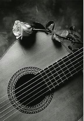 Guitarra flamenca Music Instruments, Guitar