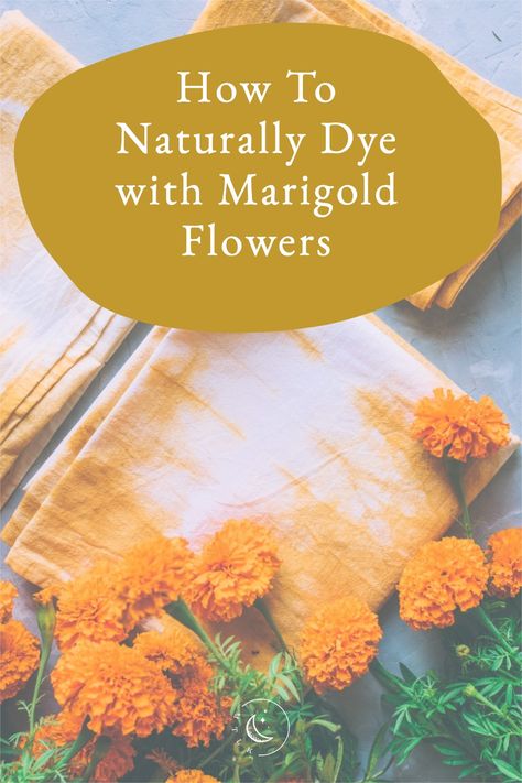 Flowers For Dyeing, Marigold Dye Natural, Flower Dyed Fabric, Marigold Dye, Mabon Ideas, Natural Dyes For Fabric, Dye Lab, Clothes Dye, Leaf Dyeing