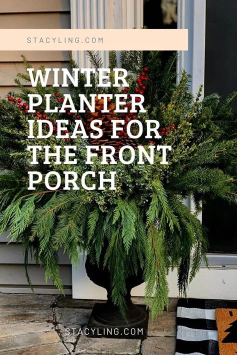 With winter upon us, do you miss gardening as much as I do? Winter gardening with outdoor planters is a great way to satisfy that craving while decorating the front porch for winter. #wintergardening #wintergardeningideas #wintergardeningoutdoor #wintercontainergardening #wintercontainergarden #wintercontainerideas #outdoorwinterdecor #outdoorwinterplanterideas #frontporchdecor Outdoor Winter Decor, Winter Containers, Winter Container Gardening, Outdoor Christmas Planters, Front Porch Planters, Christmas Porch Decor Ideas, Winter Greens, Holiday Planter, Winter Gardening