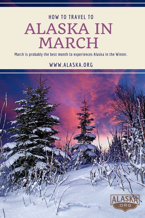 Alaska In March, Anchorage Alaska Winter, Bethel Alaska, Wasilla Alaska, Packing For Alaska, Alaskan Wedding, Alaska Northern Lights, Alaska Winter, Seward Alaska