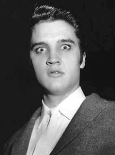 Elvis giving a freaky look, what did I do??, was just shaking my hips !!!! Elvis Presley Funny, Elvis Backstage, Funny Face Expressions, Goofy Expressions, Cat In Heat, Jerry Lee Lewis, Super Funny Pictures, Happy Birthday Quotes Funny, Elvis Presley Pictures