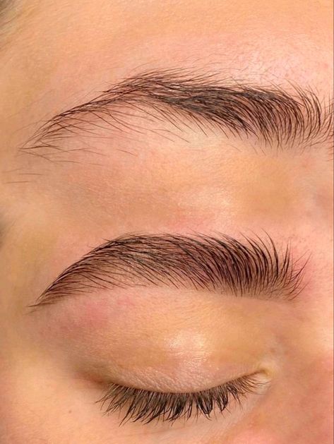 Оформление бровей, окрашивание бровей , inst - @cartell.eva Neck Tension, Straight Brows, Eyelash Logo, Thick Brows, Eyelash Lift, Nail Art Instagram, Brow Lash, Brow Lamination, Brow Shaping