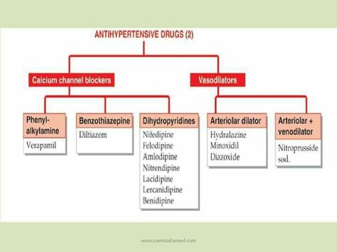 Anti hypertensive Pharmacology Mnemonics, Medical Mnemonics, Pharmacy Student, Pharmacology Nursing, Nursing School Notes, Women Health Care, Nursing Notes, Med School, Pharmacology