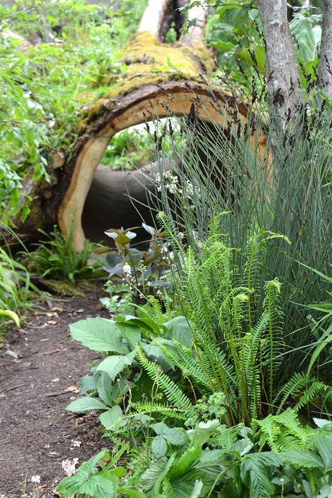 Je tuin is zoveel meer dan bloemen alleen! Het is ook een essentieel schuiloord voor vogels, insecten, en misschien zelfs een egel. Hoe maak je je tuin nog aantrekkelijker voor dieren? Het kost je alvast weinig moeite. Tiny Garden, Green Life, Outdoor Garden, Diy Garden, Garden Ideas, Borders, Van, Plants, Green