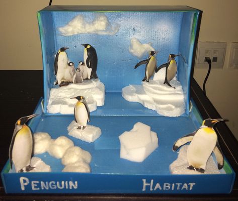 Penguin Habitat Project, Penguin Habitat Shoebox Project, Polar Habitat, Penguin Habitat, Shoebox Diorama, Habitat Diorama, Penguins Project, Habitats Projects, King Penguin