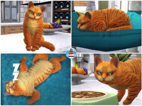 Akisima Sims Blog: Garfield Sims 4 Garfield Cc, Garfield X Odie, Garfield Dollhouse, Garfield Cat Real, Garfield And Odie, Sims 2, Sims Mods, The Sims, Sims 4