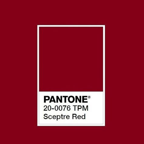 Red Coquette Aesthetic, Pink And Red Aesthetic, Red Pantone, Coquette Red, Pantone Red, Handmade Aesthetic, Cottagecore Coquette, Light Academia, Red Aesthetic