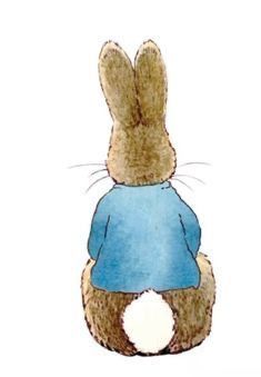 Peter Rabbit Pictures, Peter Rabbit Illustration, Theme Bapteme, Beatrix Potter Illustrations, Tale Of Peter Rabbit, Peter Rabbit Nursery, Peter Rabbit Birthday, Peter Rabbit Party, Peter Rabbit And Friends