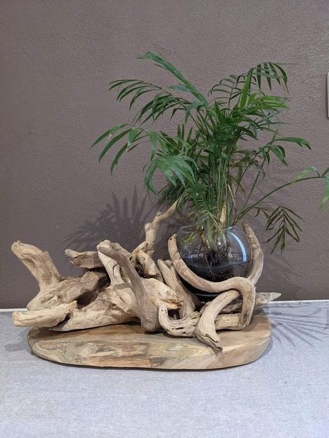 Driftwood Sculptures: Let your creativity flow by sculpting driftwood into unique shapes or figures. You can use simple hand tools to carve and shape the wood, then display your sculptures as standalone art pieces.  Hashtags:   #DIY #HomeDecor #DriftwoodArt #ScrapWoodProjects #DIYDecor #Crafting Driftwood And Flowers, Hollow Log Ideas, Projects With Scrap Wood, Takken Decor, Driftwood Art Sculpture, Driftwood Sculptures, Projects For Home, Air Plants Decor, Beach Themed Crafts