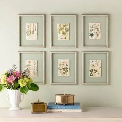 MANOR ON MAIN | Shop Sales Events Antique Farmhouse Botanical Studies, Park Hill Collection, Bunny Wall Art, Framed Botanical Prints, Common Denominator, Shades Of Peach, Botanical Print Set, Peach And Green, Framed Botanicals