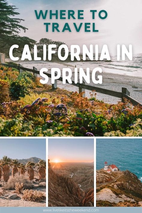 Find all the best places to visit in California in spring, no matter what type of adventure you’re seeking. You’ll be rewarded with pleasantly moderate weather, smaller crowds, and vibrant blooms—that is, if you know where to go in California in spring. | california spring break trip | california spring break ideas | best places to go in california in spring | where to go in california in spring | where to visiti in california in spring | california spring vacation California In February, Best California Vacation Spots, Spring In California, Spring Break In California, California Vacation Outfits, Places To Visit In Southern California, California Spring Break, Southern California Day Trips, Northern California Travel