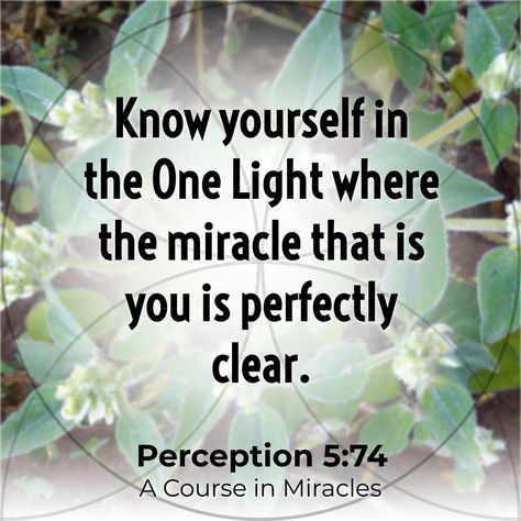 “Know yourself in the #OneLight where #TheMiracle #ThatIs you is perfectly clear.” Perception 5:74 A Course in Miracles #A #truth #wisdom #dailymessage https://yourmessage.today I Am A Magnet For Miracles, God Of Miracles Signs And Wonders, Miracles Happen To Those Who Believe, Course In Miracles Quotes, A Course In Miracles Book, Read People, Spiritual Psychology, Know Yourself, How To Read People