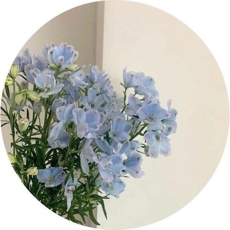 Instagram Profile Picture Flower, Aesthetic Highlight Covers Instagram Friends, Whatsapp Avatar, Fall Wallpaper Tumblr, Flowers Dp, Ig Icons Highlights Aesthetic, Me Highlight Cover Instagram Aesthetic, Instagram Profile Pic, Beautiful Profile Pictures