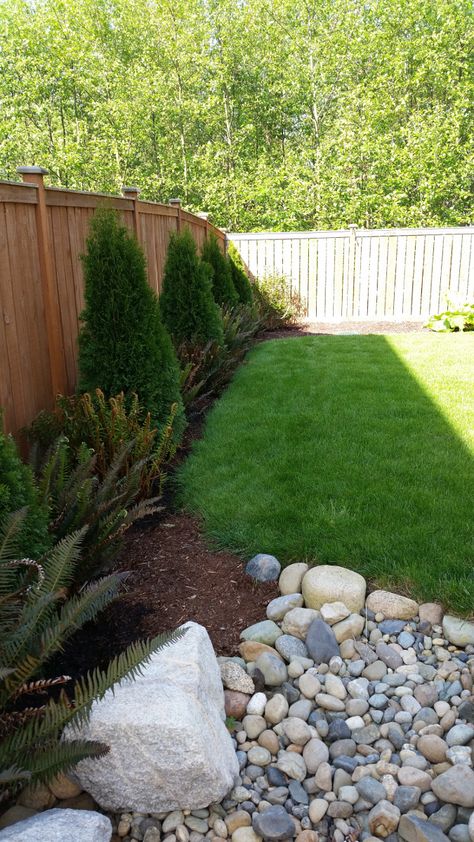 Emerald Green Arborvitaes every 6' down the fence with two sword ferns between each. Arborvitae Along Fence, Emerald Green Arborvitae Landscaping, Front Yard Water Feature, Arborvitae Landscaping, Lawn Landscaping Ideas, Hardscape Ideas, House Garden Landscape, Tree Fence, Emerald Green Arborvitae