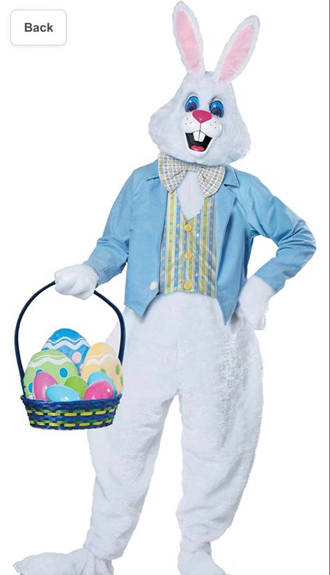 Easter bunny costume Easter Bunny Costume, Easter Costume, Adult Easter, Rabbit Costume, California Costumes, Bunny Head, Bunny Suit, Bunny Costume, Plaid Bow