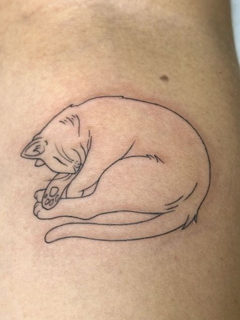 Calico Cat Tattoos, Cat Line Work Tattoo, Cat Teeth Tattoo, Cat And Owner Tattoo, Cat Tattoo Men, Tattoo For Cat, Sleeping Cat Tattoo, 2 Cats Tattoo, White Cat Tattoo