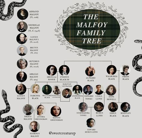 Malfoy Family Tree, The Malfoy Family, Harry Potter Family Tree, Harry Potter Script, Harry Potter Quotes Funny, Rabastan Lestrange, Draco And Hermione Fanfiction, Malfoy Family, Harry Potter Spells