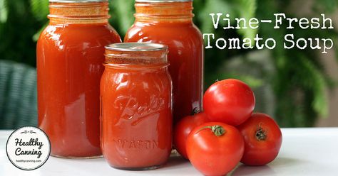 Vine-fresh tomato soup Tomato Soup Canning Recipe, Tomato Soup Canning, Tomato Soup Healthy, Healthy Canning, Best Tomato Soup, Fresh Tomato Soup, Ball Blue Book, Soup Tomato, Cream Of Tomato