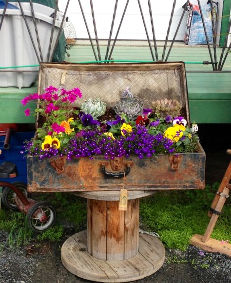 . Suitcase Garden, Vintage Trunk, Miniature Gardens, Vintage Trunks, Tool Boxes, Flower Bed, Fake Plants, Fairy Gardens, House Goals