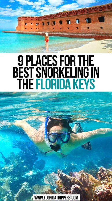 9 Places for the Best Snorkeling in the Florida Keys What To Do In Florida, Key West Snorkeling, Best Places To Snorkel, Snorkeling Pictures, Key West Florida Vacation, Marathon Florida Keys, Florida Keys Travel, Keys Florida, Things To Do In Florida