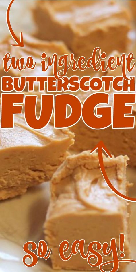 Butterscotch Fudge, Butterscotch Recipes, Hot Fudge Cake, Easy Party Desserts, Hot Chocolate Fudge, Homemade Fudge Recipes, Party Food Dessert, Single Serve Desserts, Fudge Recipes Easy