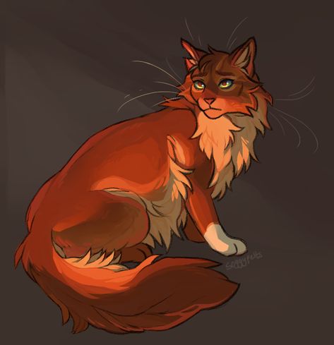 Warrior Cats Books, Warrior Cats Fan Art, Warrior Cat Drawings, Cat Doodle, Warrior Cats Art, Cats Artists, Cat Character, Cat Books, Feral Cats