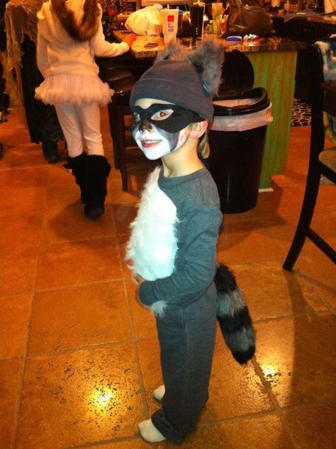 Trash Panda Costume, Raccoon Family Costume, Raccoon Costume Diy Women, Diy Racoon Costume, Racoon Halloween Costume, Diy Raccoon Costume Kids, Skunk Family Costume, Raccoon Costume Diy, Raccoon Halloween Costume