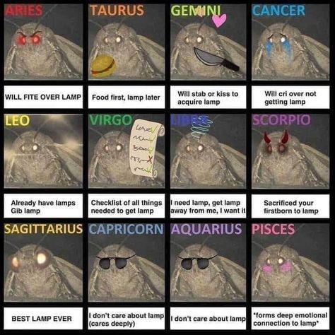 Signs as Moths. How do I know that Ive changed?! Because I used to make a list about making a list. Now I make no list. So funny 😆 Zodiac Signs Meme Funny, Virgo Memes, Horoscope Memes, Zodiac Characters, Zodiac Funny, Zodiac Sign Traits, Zodiac Stuff, Zodiac Society, Zodiac Posts