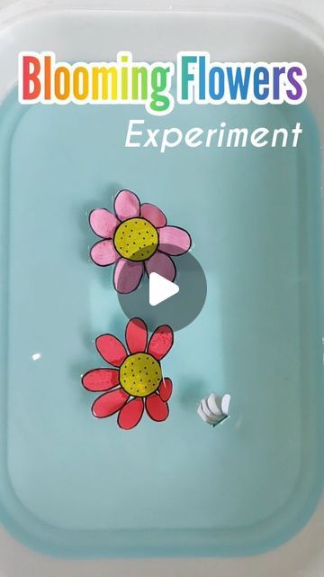 Blooming Flower Activity, Flower Changing Color Science Project, Flower Experiment, Flower Activities For Kids, Steam Experiments, Folded Paper Flowers, Water Experiments, Big Jar, Playbased Learning