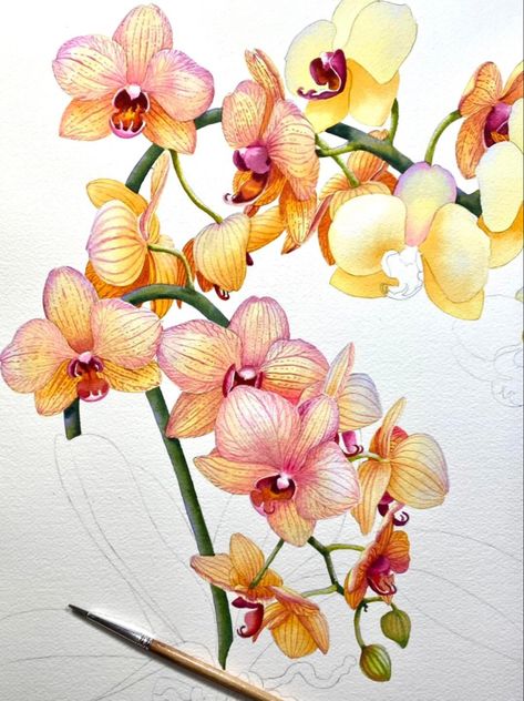 Orchid Illustration, Orchid Drawing, Contemporary Botanical Art, Colored Pencil Art Projects, Orchids Painting, Copic Drawings, Watercolor Face, Watercolor Flower Art, Botanical Painting