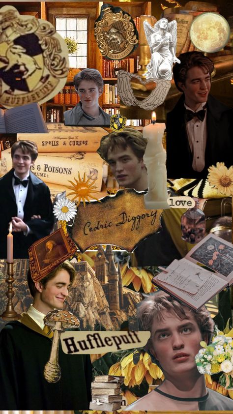 Harry Potter Aesthetic Cedric, Cedric Diggory Fan Art, Cedric Diggory Wallpaper, Moodboard Yellow, Cedric Diggory Aesthetic, Aesthetic Journaling, Harry Potter Nursery, Hufflepuff Aesthetic, Harry Potter Actors