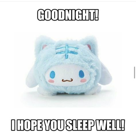 Cinnamoroll Girlfriend, Sanrio Cinnamoroll Memes, Sanrio Memes, Sleep Meme, Cinnamoroll Sanrio, Sanrio Plush, Cute Messages, Wholesome Memes, Cute Memes