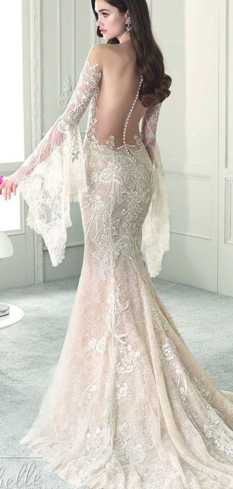 Demetrios Wedding Dress Collection 2019 | Long sleeves lace boho mermaid bridal gown with illusion off the shoulder sweetheart neckline, illusion open back and bell sleeves #weddingdress #weddingdresses #bridalgown #bridal #bridalgowns #weddinggown #bridetobe #weddings #bride #dreamdress #bridalcollection #bridaldress #dress See more gorgeous wedding dresses by clicking on the photo Bell Sleeve Wedding Dress, Demetrios Wedding Dress, Mermaid Wedding Dress With Sleeves, Wedding Dress Gallery, Bridal Shops, Lace Wedding Dress With Sleeves, Bridal Gowns Mermaid, Wedding Dress Collection, Long Sleeve Wedding Dress Lace