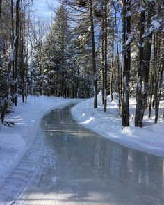 Ice Skating, In The Woods, In The Middle, Skating, The Middle, Trees, Forest, Lake, Road